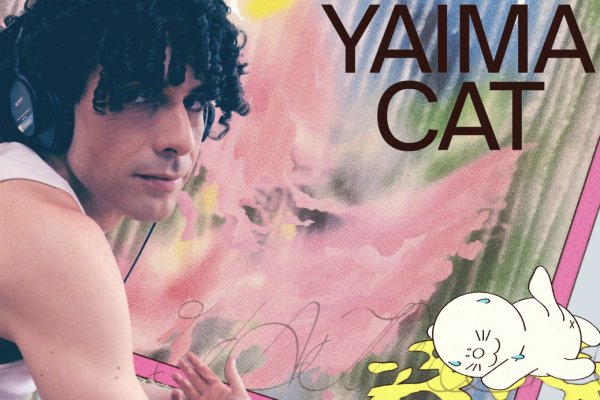 Imagen YAIMA CAT