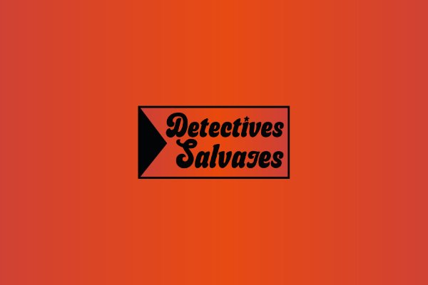 Imagen DETECTIVES SALVAJES