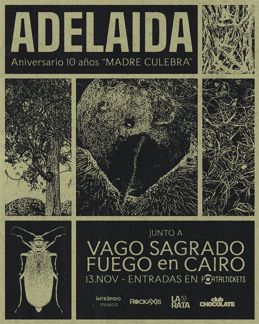 Flyer ADELAIDA: 10 AÑOS DE “MADRE CULEBRA”  ★ JUEVES 13 DE NOVIEMBRE ★ CLUB CHOCOLATE (+18)