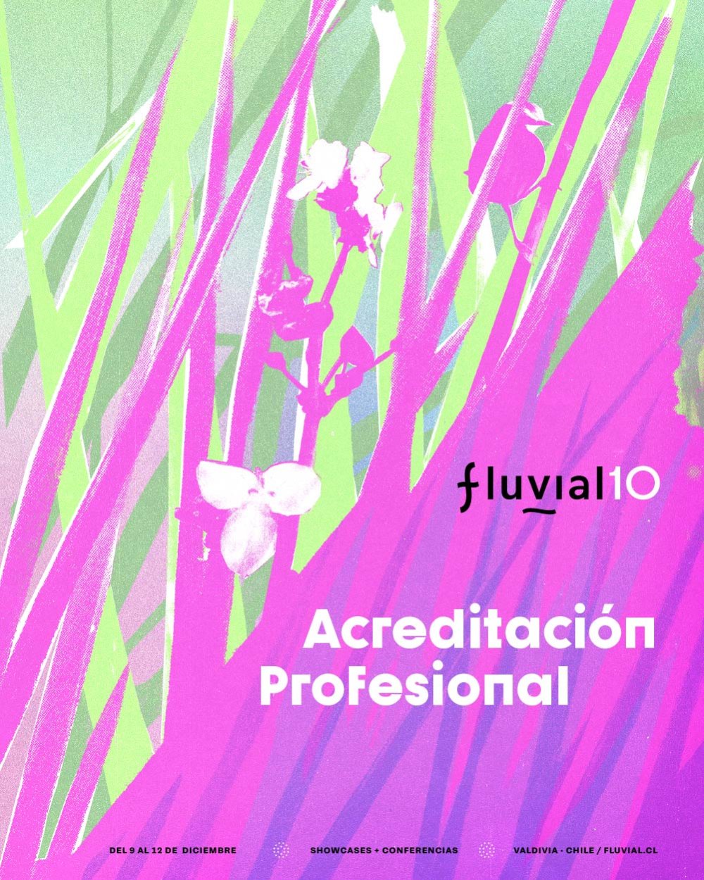FLUVIAL 2026 - 10 AÑOS - ACREDITACIONES