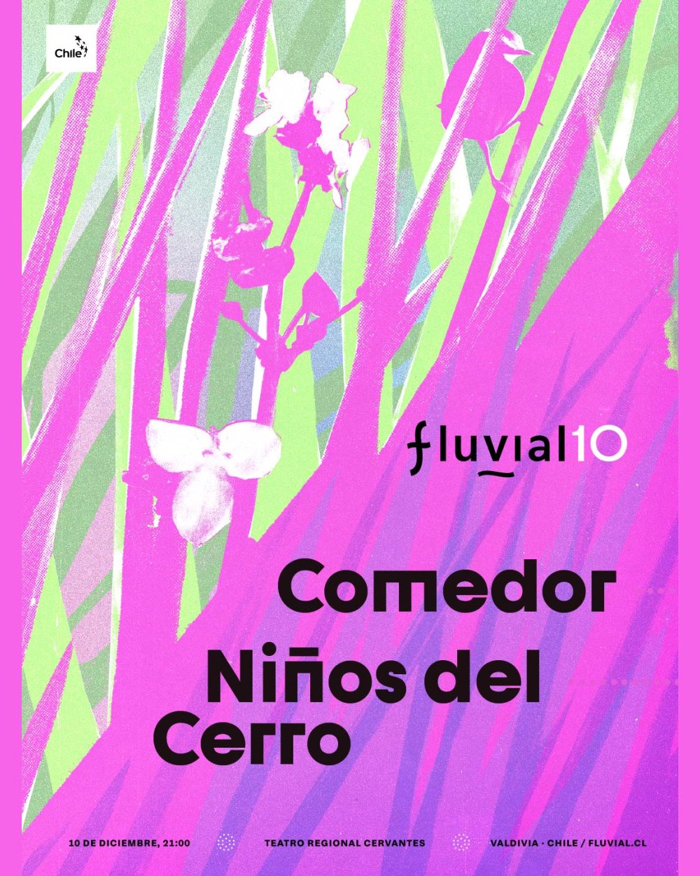 FLUVIAL 2026: TEATRO CERVANTES: NIÑOS DEL CERRO + COMEDOR