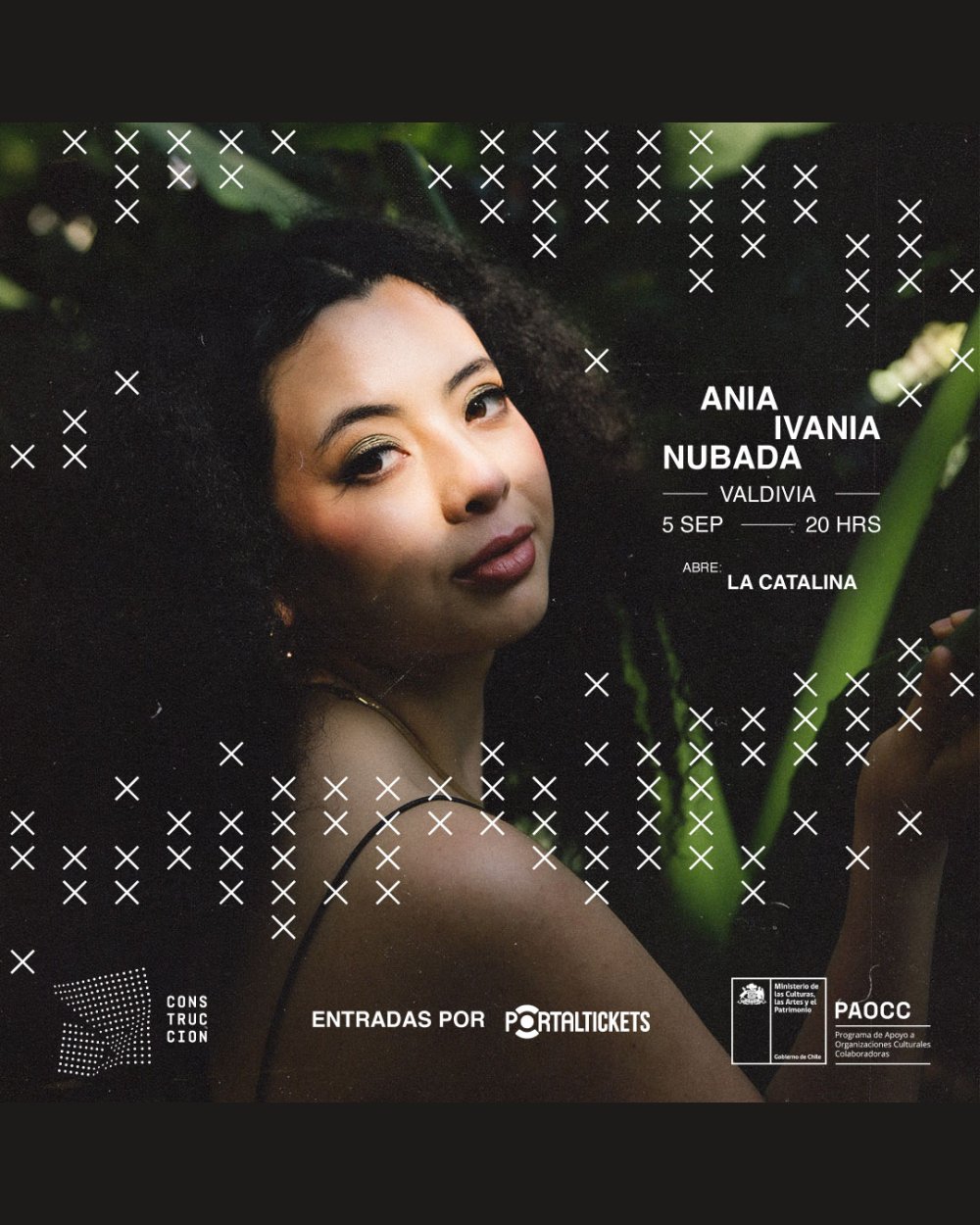 Valdivia ofrece conciertos esta semana y estos escenarios reciben la música
