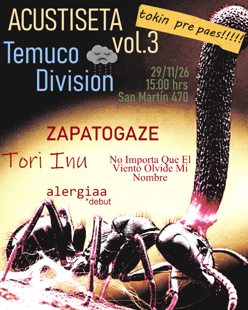 FESTIVAL ACUSTISETA VOLUMEN 3 EN SALÓN VALLE INTERIOR, TEMUCO