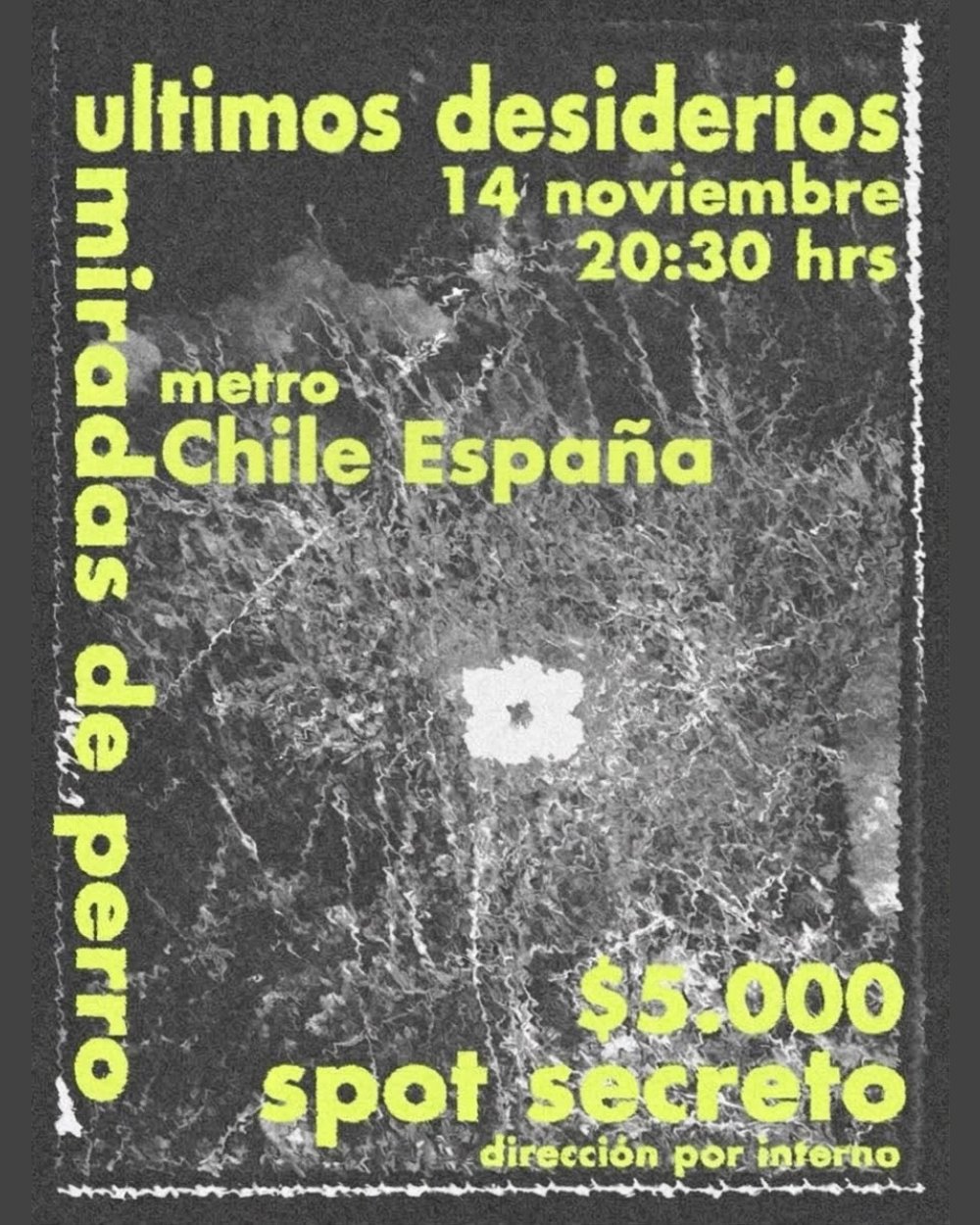 MIRADAS DE PERRO Y ULTIMOS DESIDERIOS