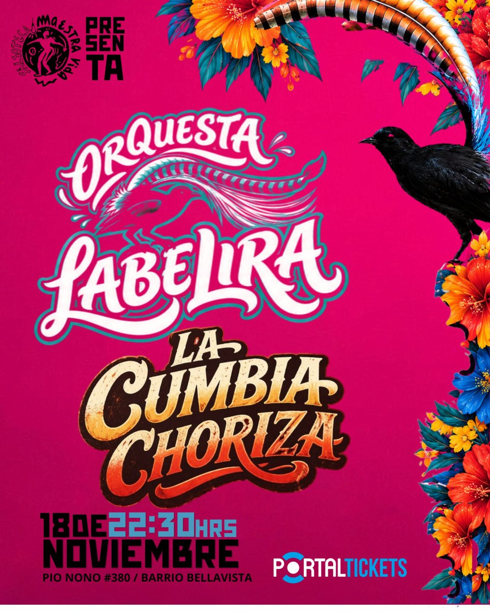 LLENANDO DE CUMBIA LA PRIMAVERA / ORQUESTA LA BELIRA Y CUMBIA CHORIZA SE TOMAN LA MAESTRA VIDA
