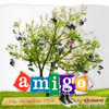 Imagen Amigo