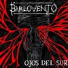 Imagen Ojos del Sur