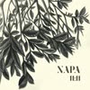 Imagen NAPA 11:11