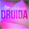Imagen Druida