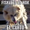 Imagen El Canto
