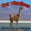 Imagen Reencuentro con Atacama