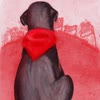 Imagen Pañuelo Rojo