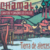 Imagen Tierra de Alerces