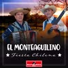 Imagen Fiesta Chilena