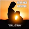 Imagen Semilla Estelar