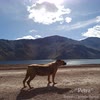 Imagen Petra