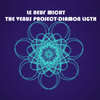 Imagen The Venus Project - Diamond Ligth.