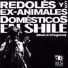 Imagen Redolés y los Ex Animales Domésticos en Shile