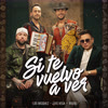 Imagen Si Te Vuelvo a Ver