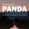 Imagen Panda
