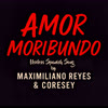 Imagen Amor Moribundo