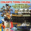 Imagen Lo Mejor de Chiloé y Fiesta de la Tirana