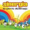 Imagen 22 Éxitos Pajarones