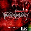 Imagen Infected Brutality (FLAC)