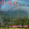 Imagen Chile en el arpa de Alberto Rey