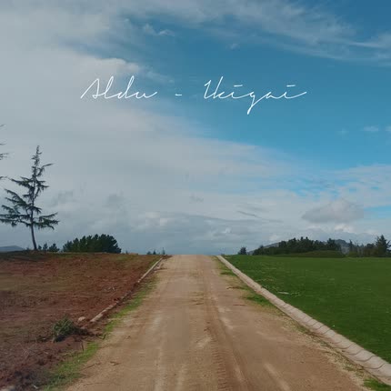 Imagen ALDU