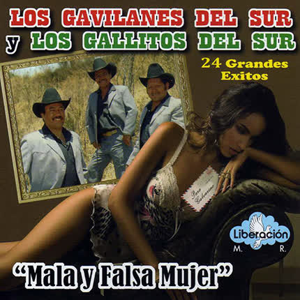 Carátula LOS GAVILANES DEL SUR - LOS GALLITOS DEL SUR - Mala y Falsa Mujer