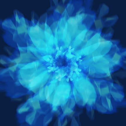 Carátula Fractal (Single)