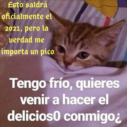 Carátula Esto Saldrá Oficialmente el 2021 Pero la Verdad me Importa un Pico <br/>(Disco del Gato) 