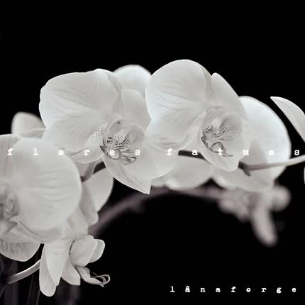 Carátula Flores Fatuas