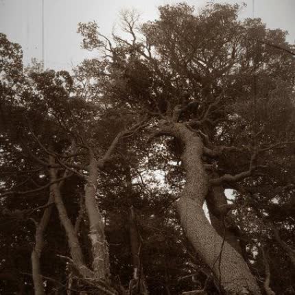 Carátula STRANGE THOUGHTS - album