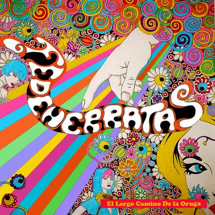 Carátula FEDEHERRATAS - el largo camino de la oruga