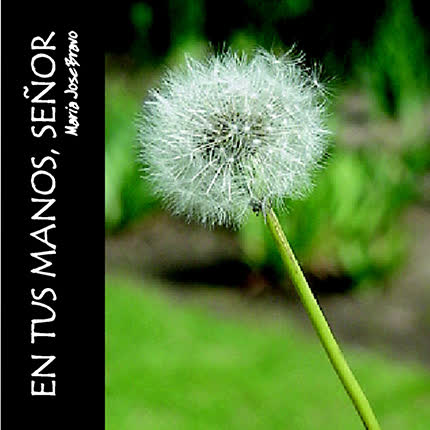 Carátula MARIA JOSE BRAVO - En tus manos, señor