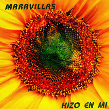 Carátula VARIOS ARTISTAS - Maravillas Hizo En Mí