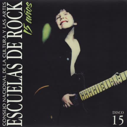 Carátula ESCUELAS DE ROCK - Volumen 15