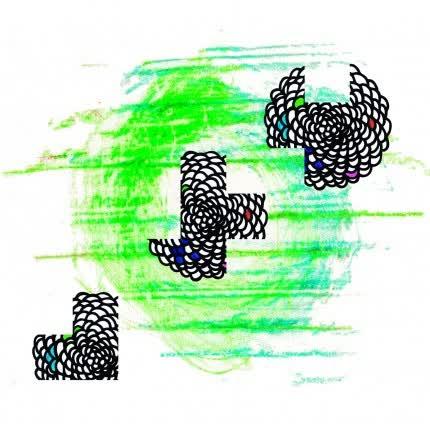 Carátula CRISANTEMO - Brotes