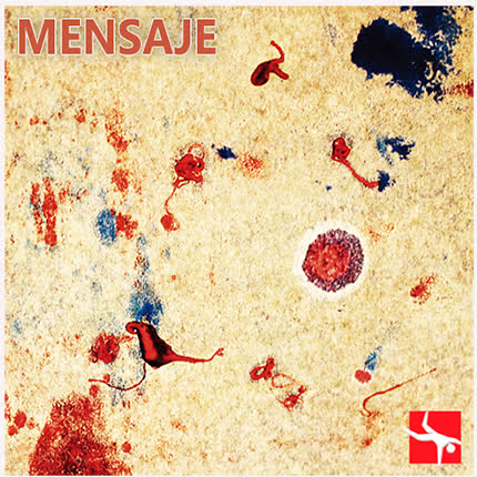 Carátula JUAN PABLO SALVO - Mensaje