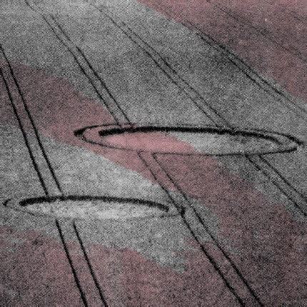 Carátula PROTISTAS - Microonda