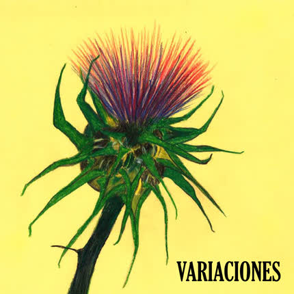 Carátula VARIACIONES - Variaciones