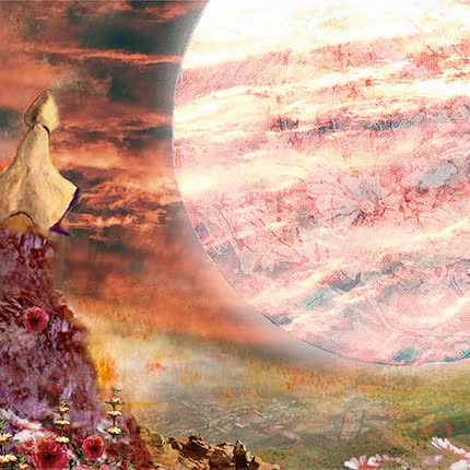 Carátula MISTER TRIPPI - Mister Trippi