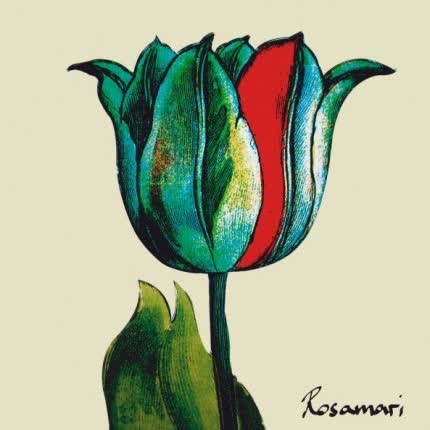 Carátula ROSAMARI - Rosamari