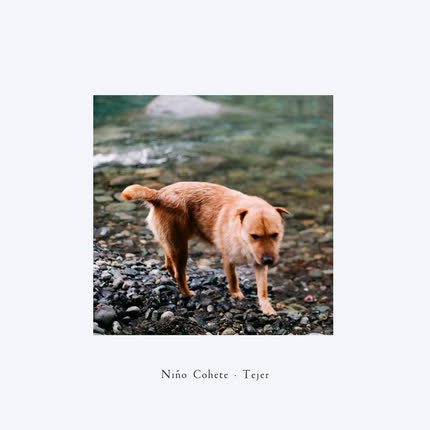 Carátula NIÑO COHETE - Tejer
