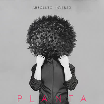 Carátula ABSOLUTO INVERSO - Planta