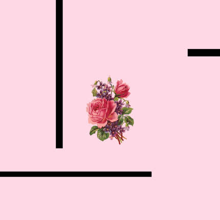 Carátula WET PLANTT - Life of Pink