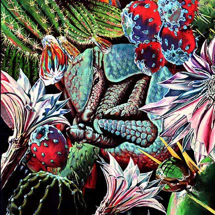 Carátula ARMADILLO - Cactusrock