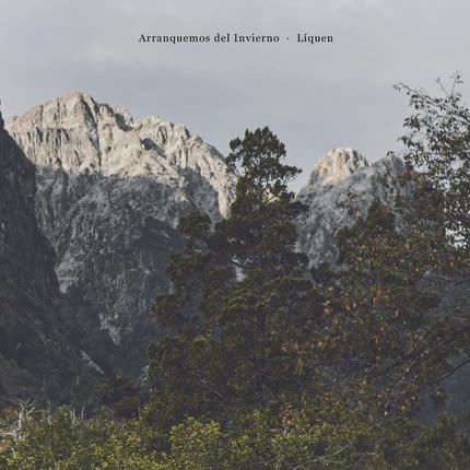 Carátula ARRANQUEMOS DEL INVIERNO - Líquen